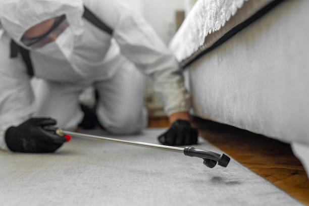 Professional Bed Bug Control technician working in Bromley, KY